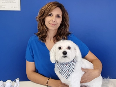 Patricia Fraga - Splashy Day Patricia Fraga - Splashy Day