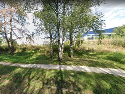 miniature-zae miniature-zae